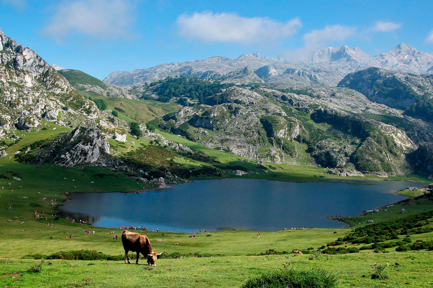 vistas de los lagos de covadonga